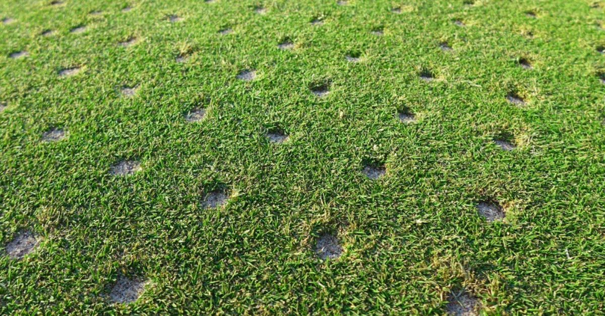 how long do aerated greens take to heal