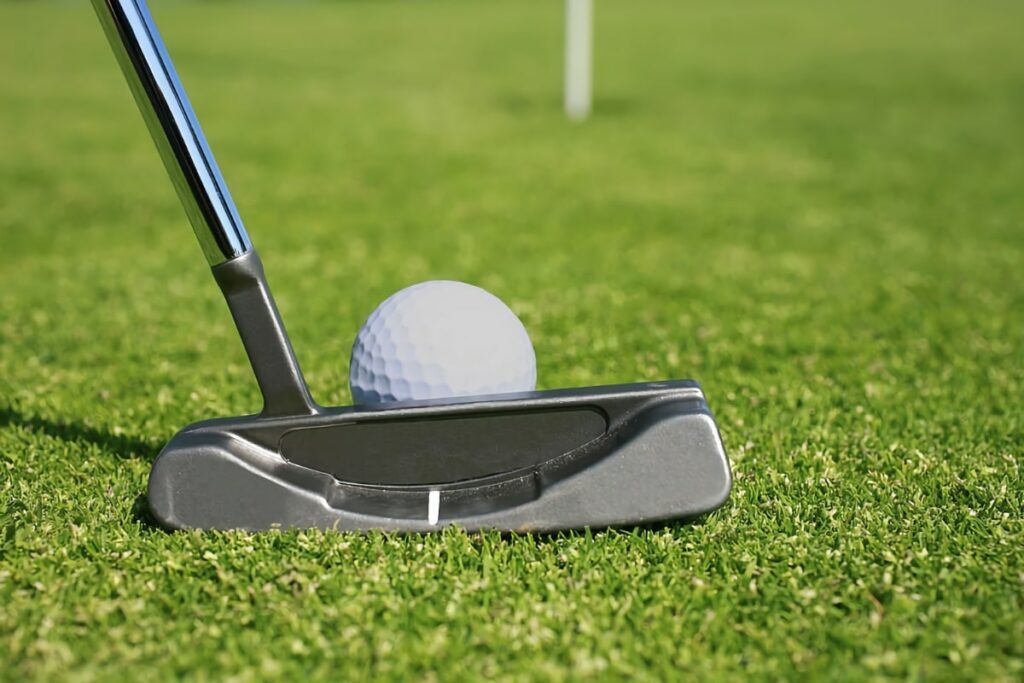 What is Putter Head Weight?