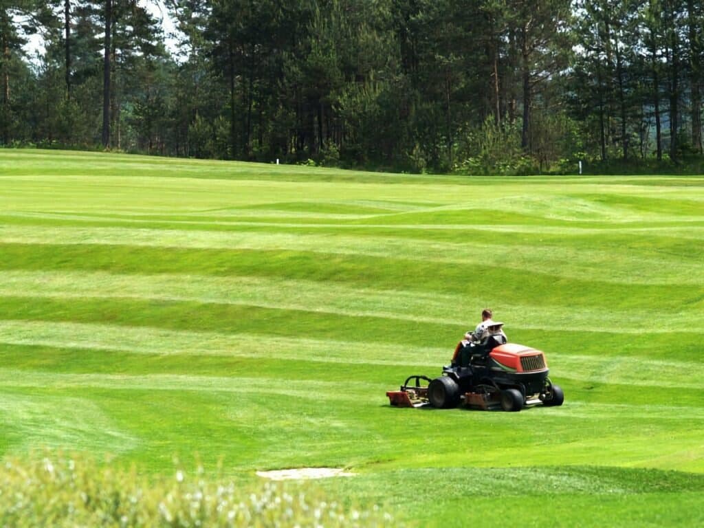 why do golf courses use fertilizer