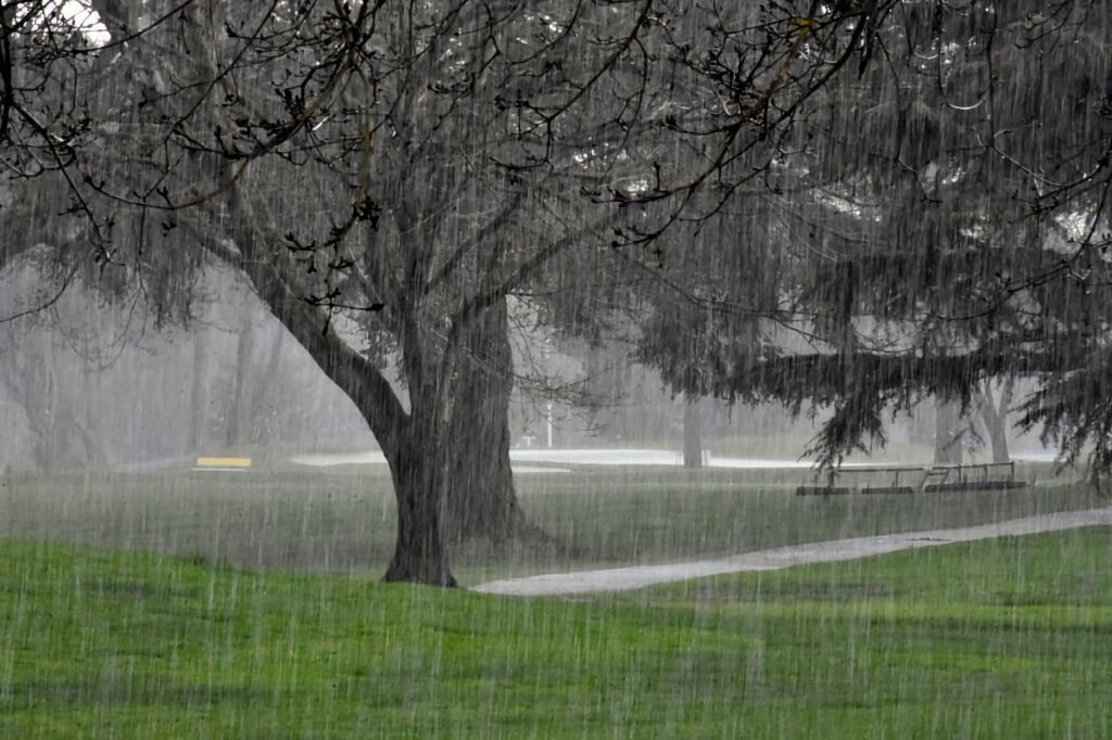 do golf courses give rain checks
