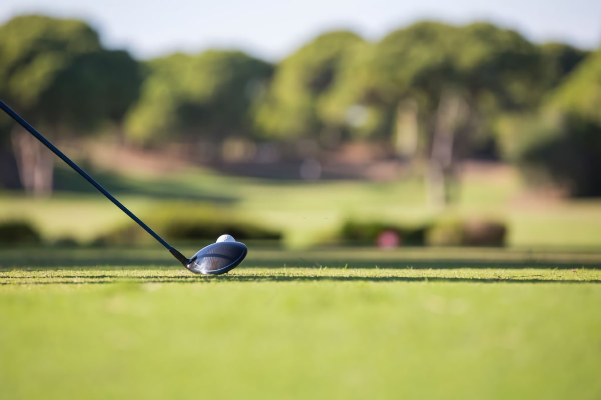 What Does A Counterbalanced Driver Shaft Do at Bernita Weiss blog