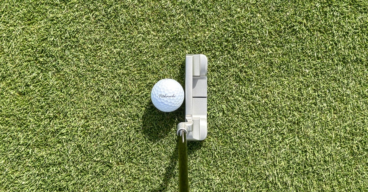 swag golf handsome one putter review